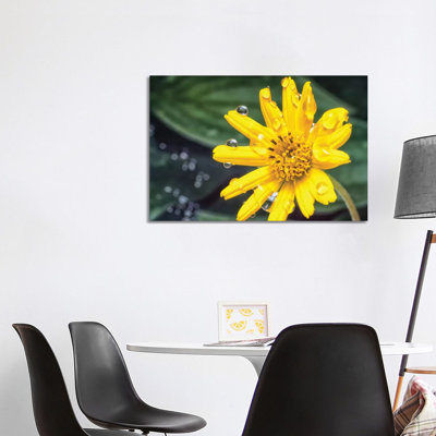 Yellow Flower With Water Drops by Glauco Meneghelli - Wrapped Canvas Print
