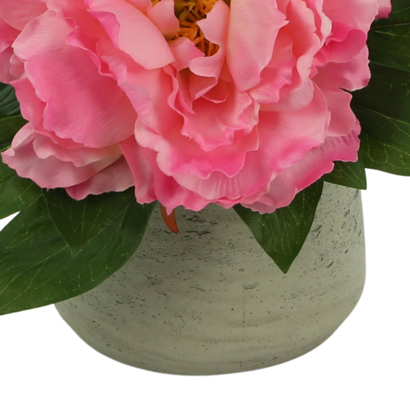 Arrangement floral dahlia en pot, Rose