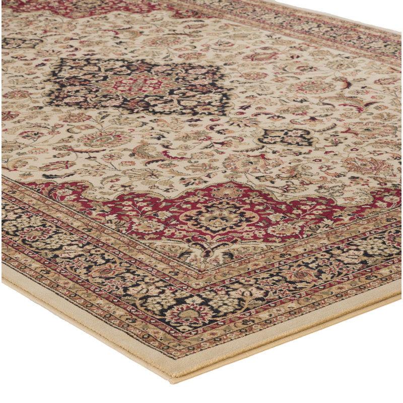 Izaiah Oriental Indoor Rug, Rectangle 3'11" x 5'7"