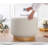 Stylish 360° Rotatable Pouffe, Cream Color, 21.7 x 16.9 x 21.7 inches | 100% Cotton Fabric, Medium Hard Sponge (Approx. 2.4 inches Thick), Durable Oak Wood Legs | Perfect for Living Room, Bedroom, & Modern Decor-1370282157