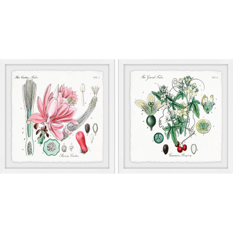 «Beauty Starts Here Diptych», ensemble de 2 reproductions d'art graphique encadrées, H 18 po x l 18 po x L 1,5 po