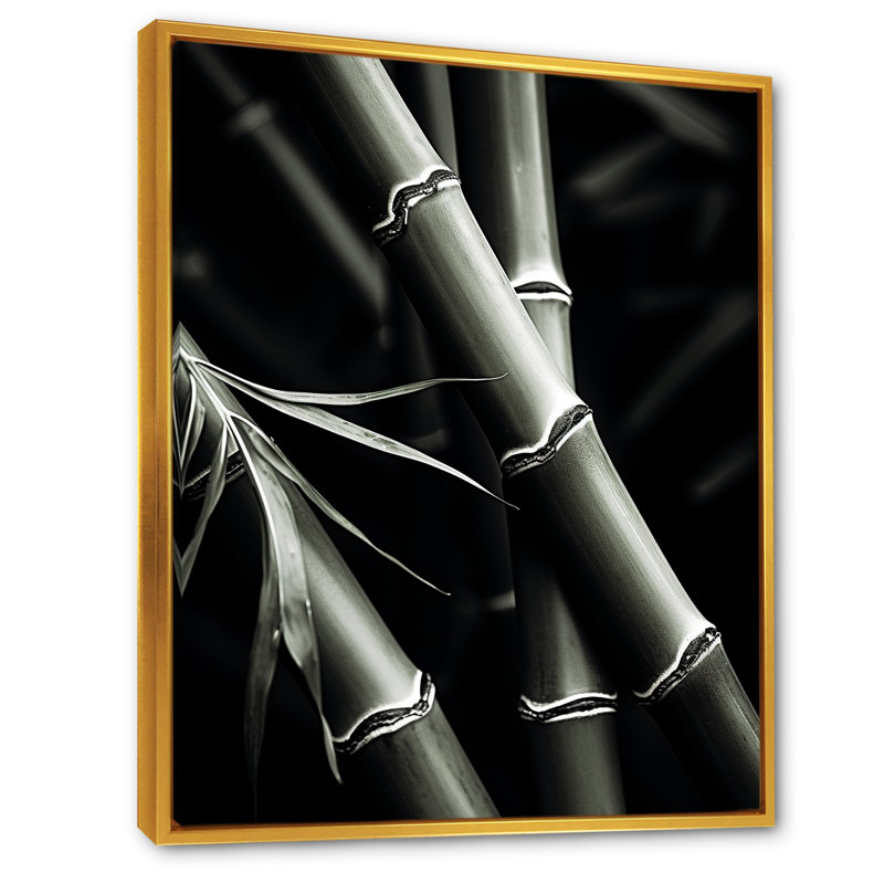 Reproduction d'art mural en bambou noir et blanc II - Bamboo_106577, H 32 po x l 16 po x P 1 po, Cadre flottant doré