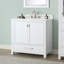 Modero 36" Single Bathroom Vanity with Top-906867060-892977783-826149698