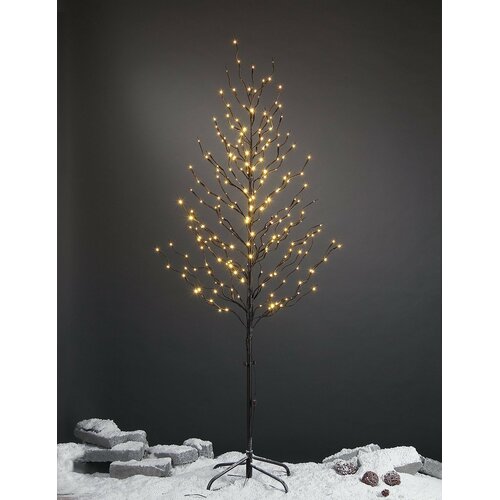 72'' LED Lighted Trees & Branches & Reviews | Birch Lane