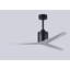 Eliza Outdoor Downrod Ceiling Fan-209975077-216976760
