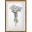 Palm Livistona - Single Picture Frame Print-1984775295