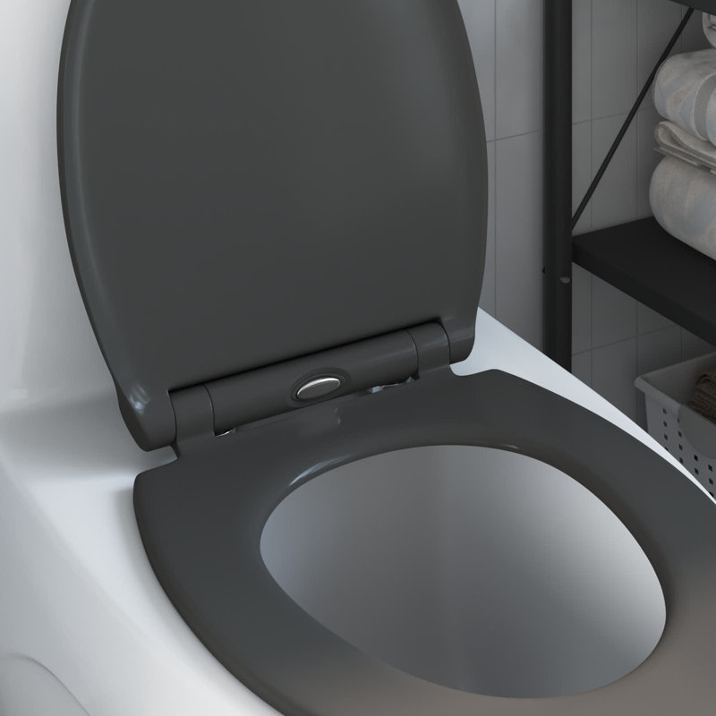 Anthracite Plastic Standard Adjustable Armrests Toilet Seat, Anthracite