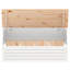 17 Stories Nervie 89cm W Pine Solid Wood Deck Box-2048004888