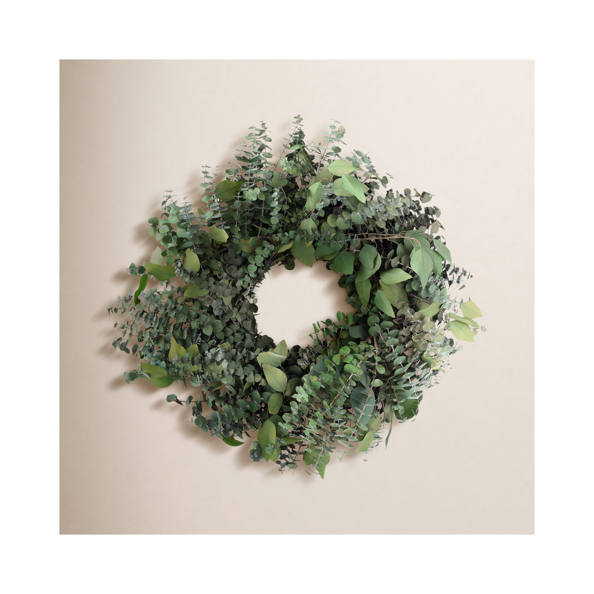 Handcrafted Preserved Eucalyptus Real Greenery 20'' Wreath