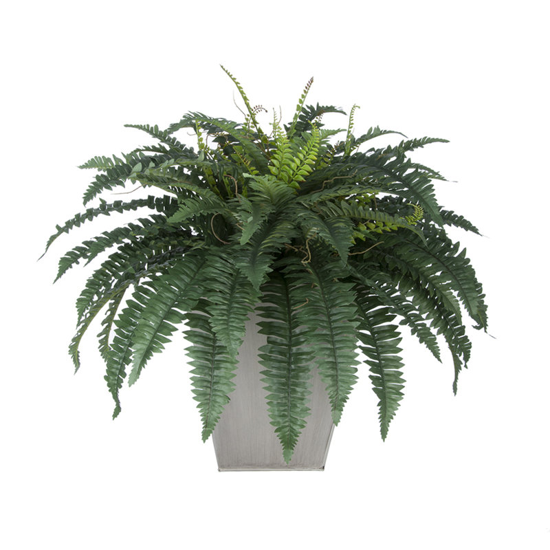 Plantes artificielles 12" en pot de fleurs, Crème