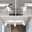 Shuntavia Spotlight-1064293459