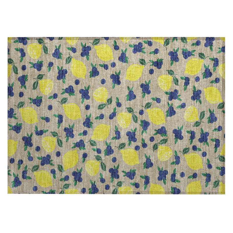 Machine Washable Indoor/Outdoor Chantille ACN2354 Fruits Rug, Rectangle 1'8" x 2'6"