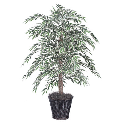 48'' Faux Tree in Wicker/Rattan Basket
