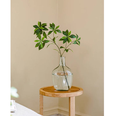 Tige de fausse branche de Pieris