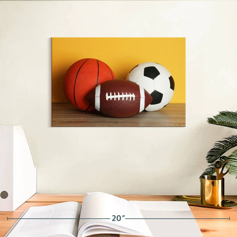Team sports balls Sireci, H 8 po x l 12 po