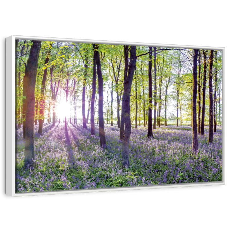 Bluebells and sunrise, Cadre flottant blanc, 19 po x 13 po