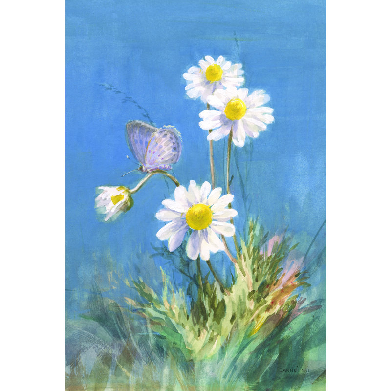 Marguerites blanches, H 12 po x l 18 po x P 1,25 po