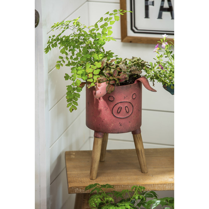 Pot de fleurs statue en fer pig