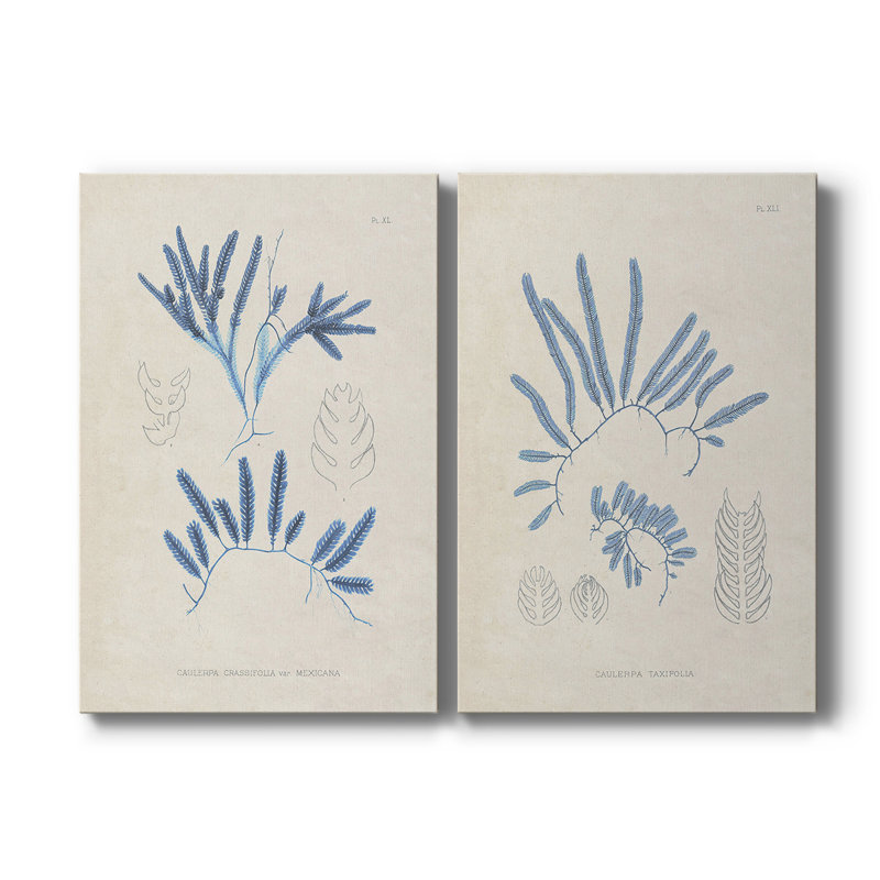 Blue Marine Algae I-Premium Gallery Wrapped Canvas -Ready to Hang, 27" H x 36" W