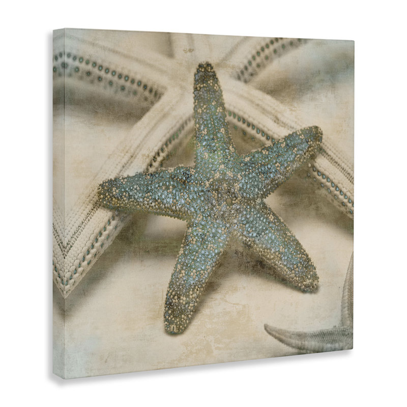 'Starfish' by Ziwei Li - Photograph Print, 17" H x 17" W, Coastal White Framed Giclee