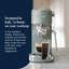 Dedica Duo Manual Coffee Machine White-115310595