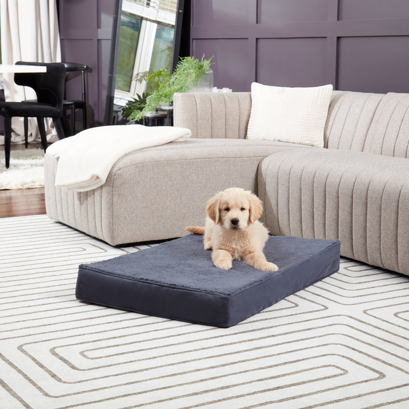 Lit orthopédique pour chien Lind Stockholm, Petit (l 36 po x P 24 po x H 4 po), Acier bleu