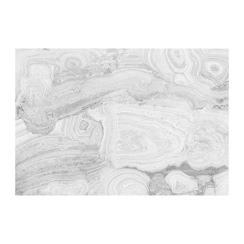 Antiona 2.5m x 2.5m Matte Peel & Stick Wall Mural, 250 x 250cm