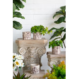Set of 4 Grey Cement Planters 4.3" – Botanical Design Flower Pots