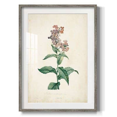 «Allspice II», reproduction encadrée