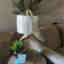 Photos des clients 1 de 1
