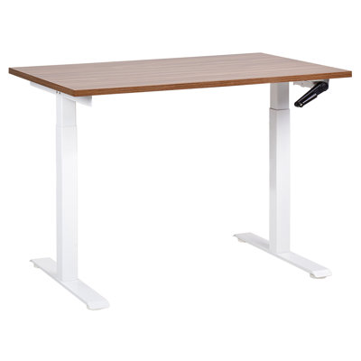 Nateasha Adjustable Metal Base Standing Desk