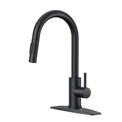 Pull Down Single Handle Kitchen Faucet With Deck Plate, Handles and Supply Lines
