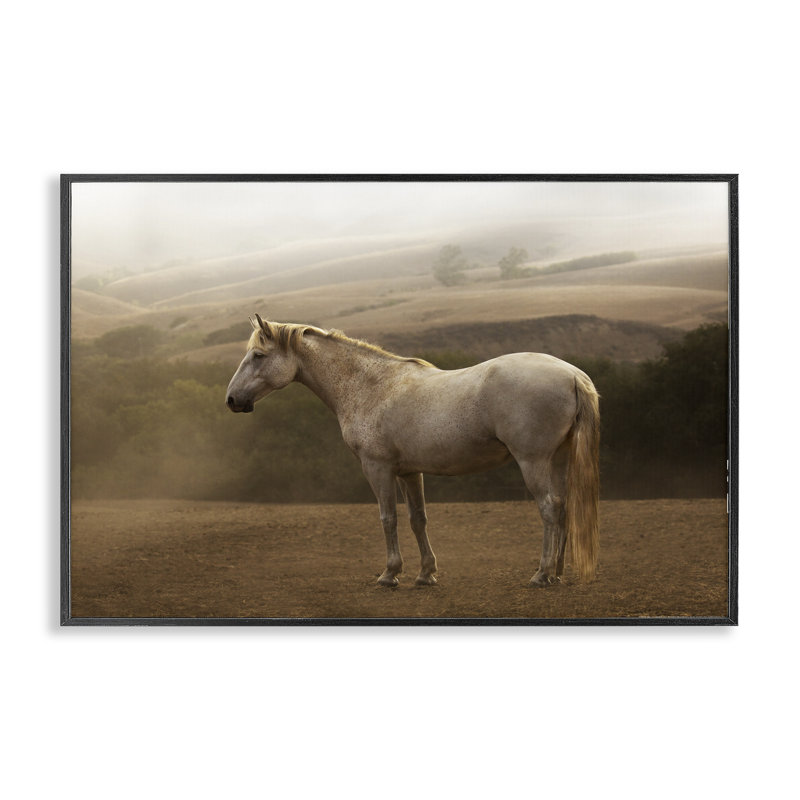 «Morning Mist Horse», estampe numérique par Jadei, H 12 po x l 18 po, Giclée encadrée noir minuit