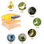 Symple Stuff Chasteen Egg Incubator