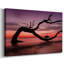 Photographie, photographie, coucher de soleil, plage, toile tendue-762273825