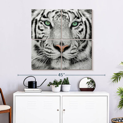 Tigre blanc aux yeux verts Brampt