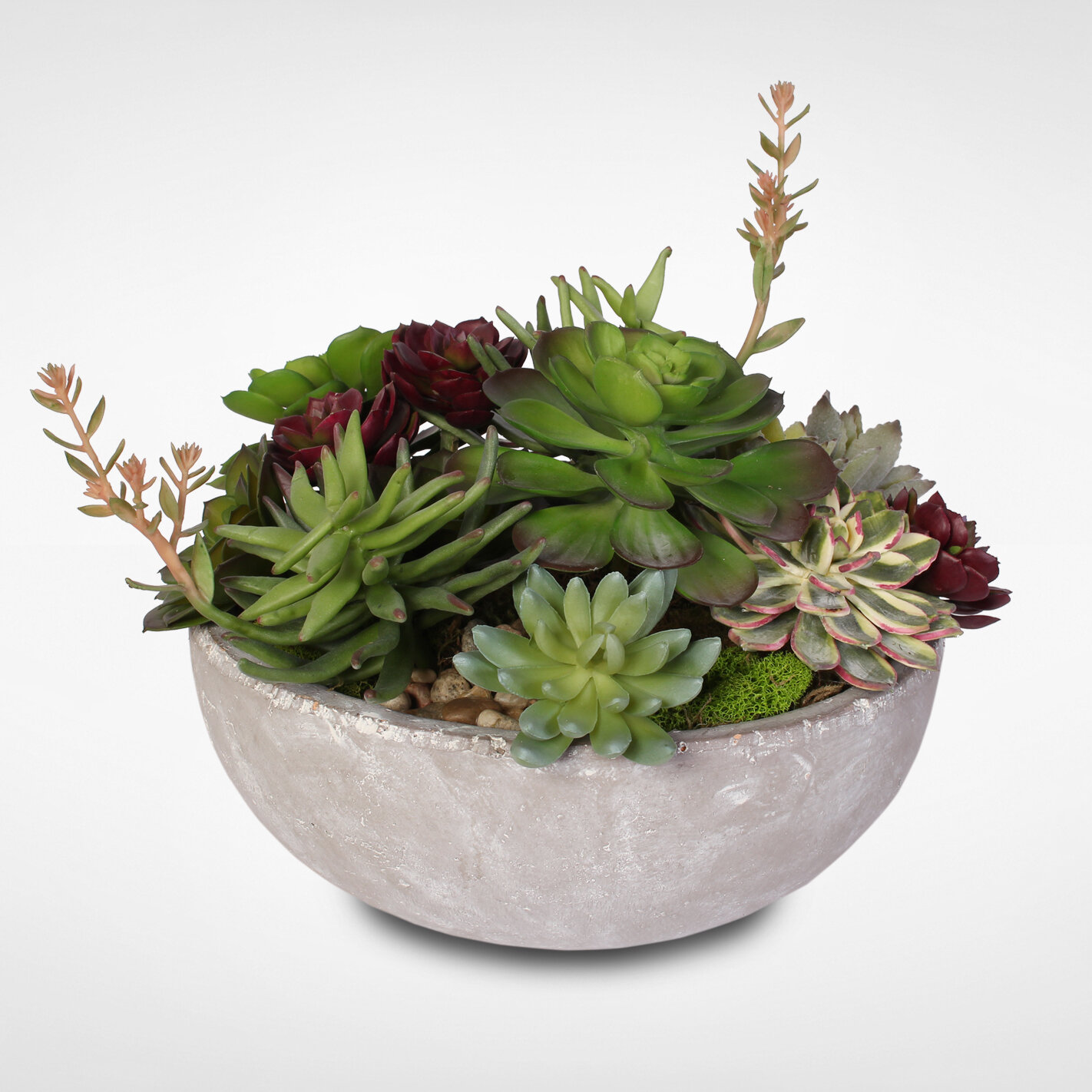 Foundry Select Artificial Desktop Succulent in Pot | Wayfair