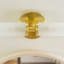 Adejah Glass Armed Sconce-1263567819