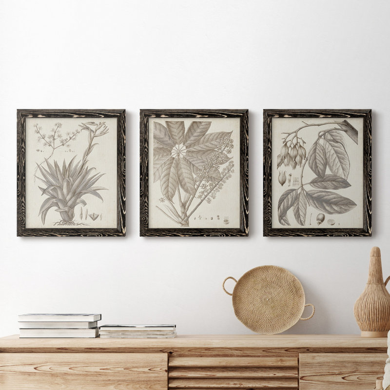 «Sepia Exotic Plants IV», ensemble de 3 peintures sur toile encadrées, Toile avec cadre noir, H 20 po x l 51 po x P 1,5 po