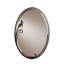 Leaf Traditional Beveled Accent Mirror-6344986