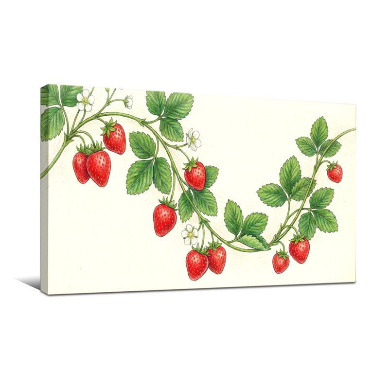 Plantes et fleurs Vigne de fraise avec feuilles et fleurs, H 16 po x l 32 po