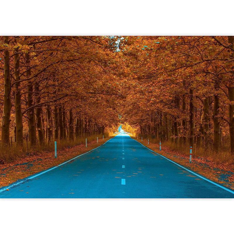 Murale route à travers les arbres de la forêt d'automne, L 100 po x l 144 po