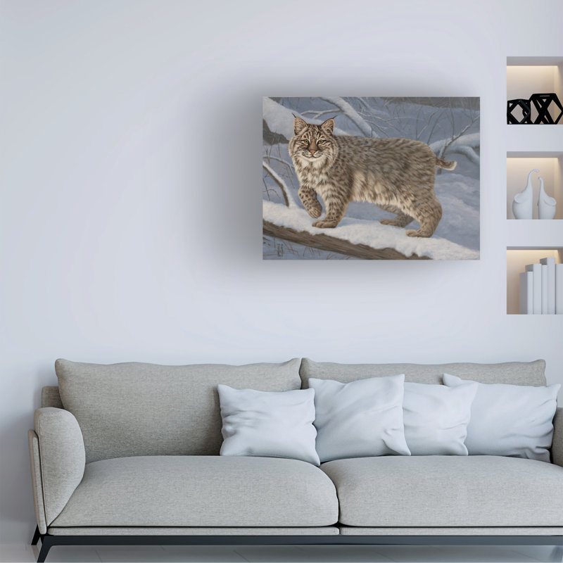Jeff Hoff Bobcat Canvas Art, 14" H x 19" W