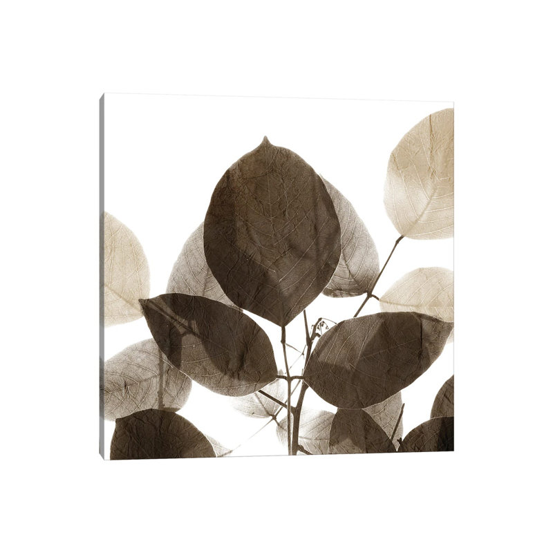 Chocolate Leaves I by Kimberly Allen - Wrapped Canvas Print, 66.04 cm H x 66.04 cm W x 3.175 cm D