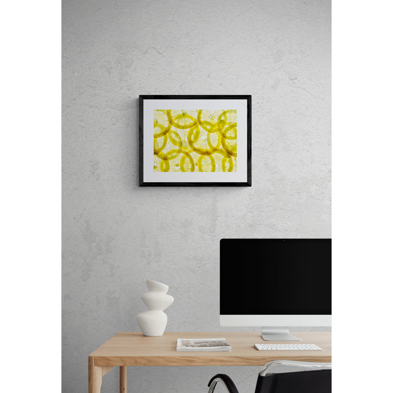 Lemon Slices Print by Harold Davis, Black Framed Paper, 20" H x 16" W