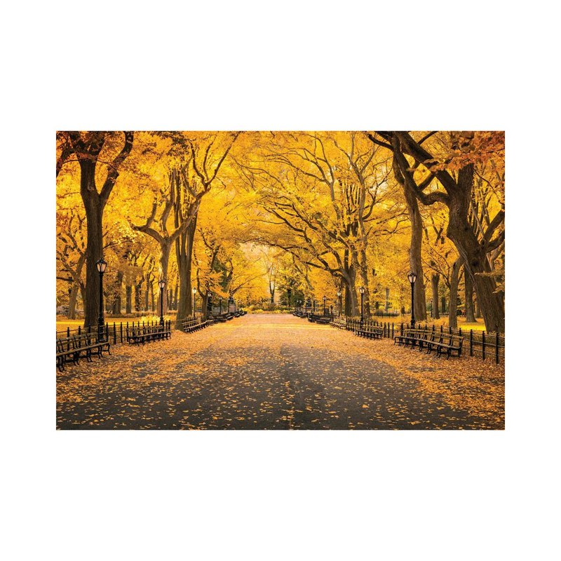 Central Park In Autumn by Jan Becke - Print on Canvas, 20.32cm H x 30.48cm W x 1.9cm D, Wrapped Canvas