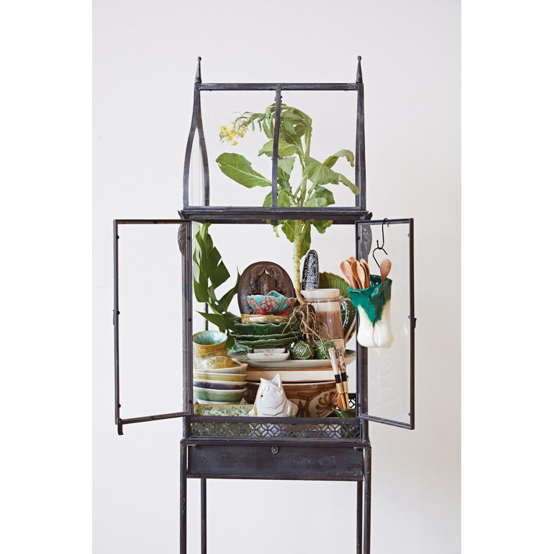 Botanist 74.75'' H x 21.25'' W Iron Display Case