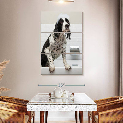 Brampt Bubbly English Spaniel