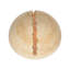 Lunar White Sconce