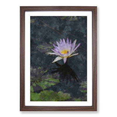 Pretty Water Lily - Framed Print